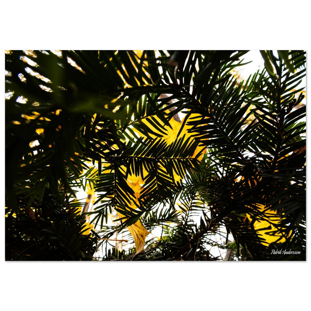 15c1132f-2dba-4649-a763-d84db939709c