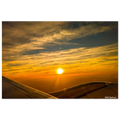 8b988655-96b6-4b8f-8a17-85fb48e3c741